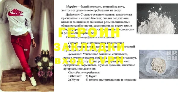 стаф Магас