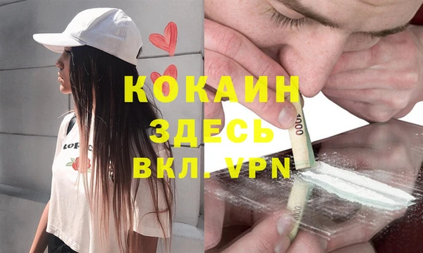 стаф Магас